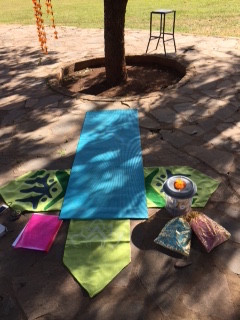 yogazambiayogamat2016